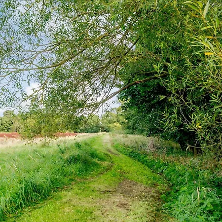 3 Bed In Kiplin 79275 * Great Langton