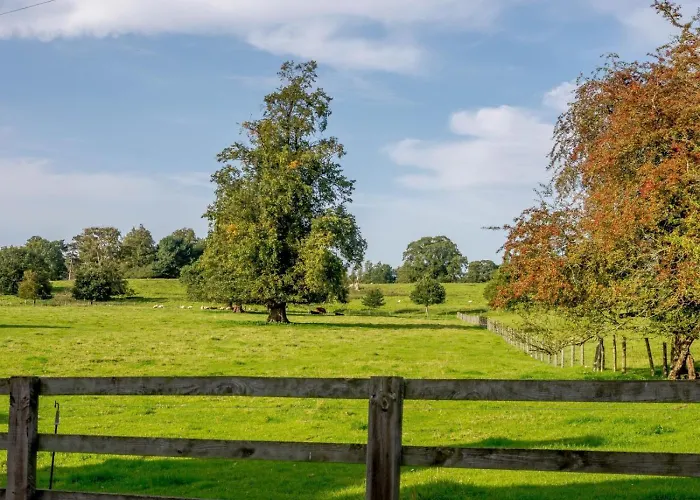 3 Bed In Richmond Oc-79275 *