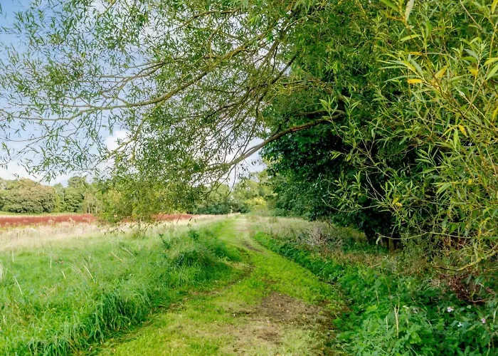 Σπίτι διακοπών 3 Bed In Richmond Oc-79275 *